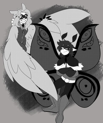 Danii comm