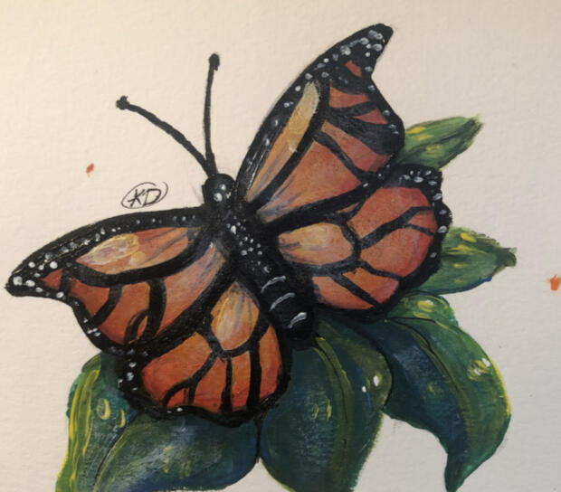 Monarch Monarch