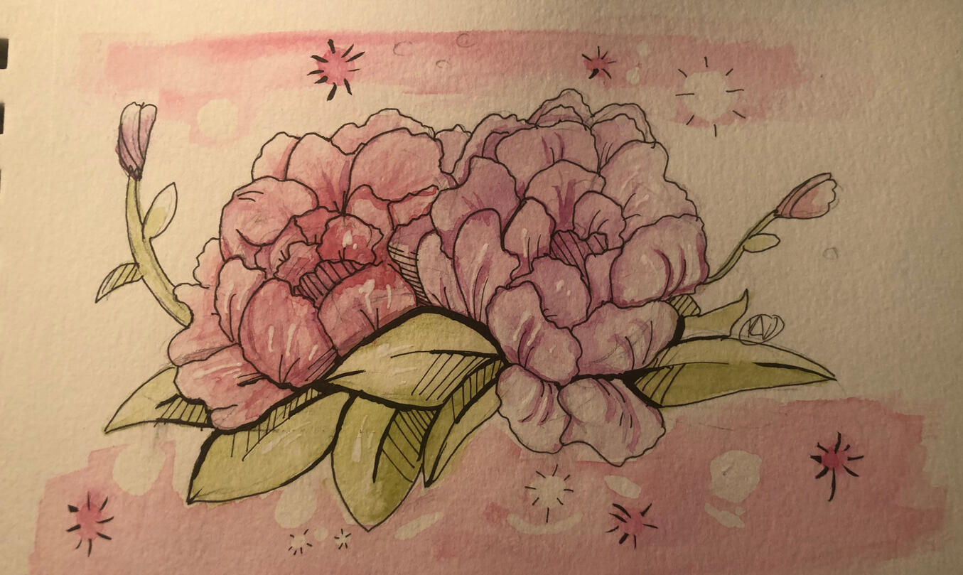 Peonies are my Favorite Peonies are my Favorite